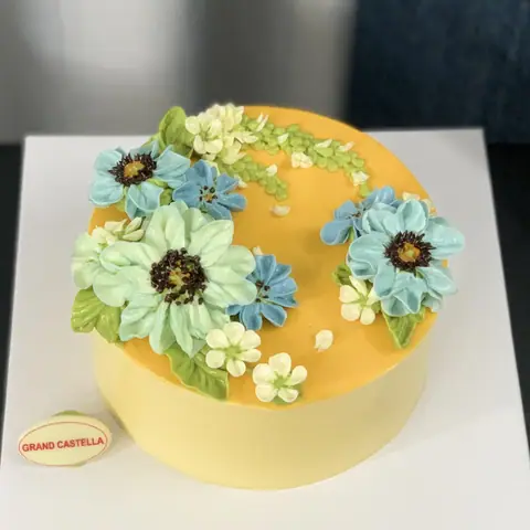 Hình bánh kem bơ Pháp Grand Castella 299