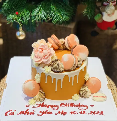 Hình bánh kem bơ Pháp Grand Castella 772