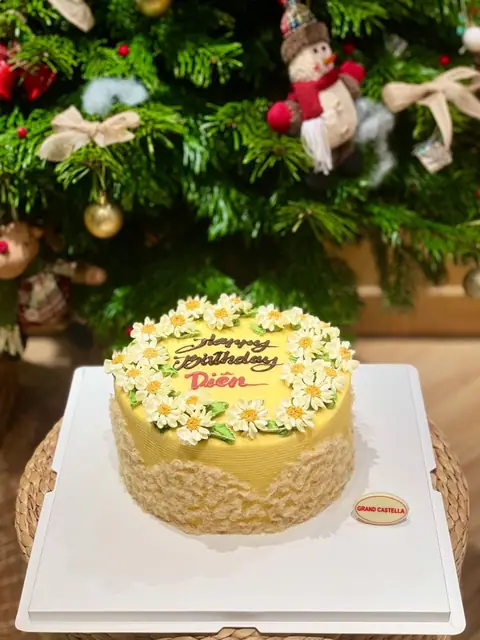 Hình bánh kem bơ Pháp Grand Castella 760