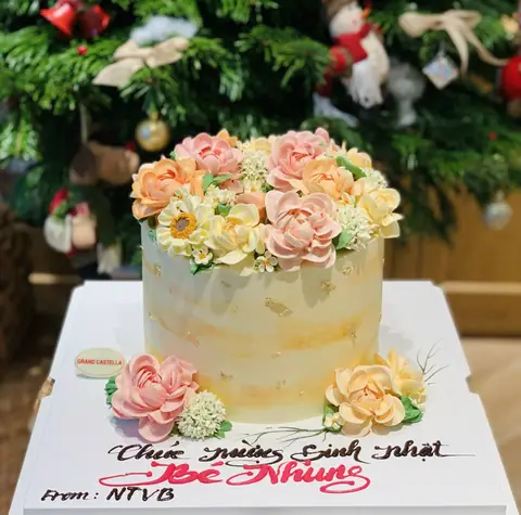 Hình bánh kem bơ Pháp Grand Castella 747