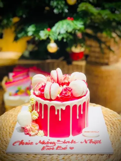 Hình bánh kem bơ Pháp Grand Castella 749