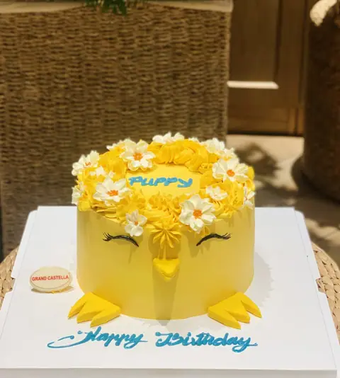 Hình bánh kem bơ Pháp Grand Castella 140