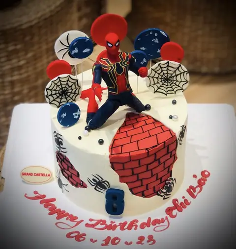 Hình bánh kem bơ Pháp Grand Castella 28